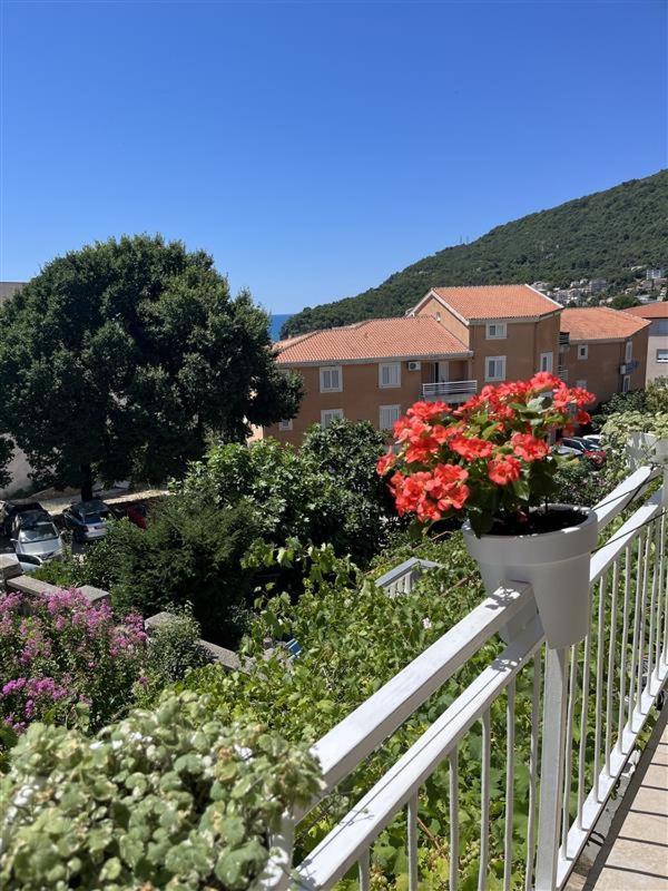 Apartmani Neda Bane Petrovac Extérieur photo