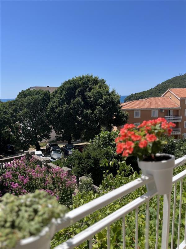 Apartmani Neda Bane Petrovac Extérieur photo