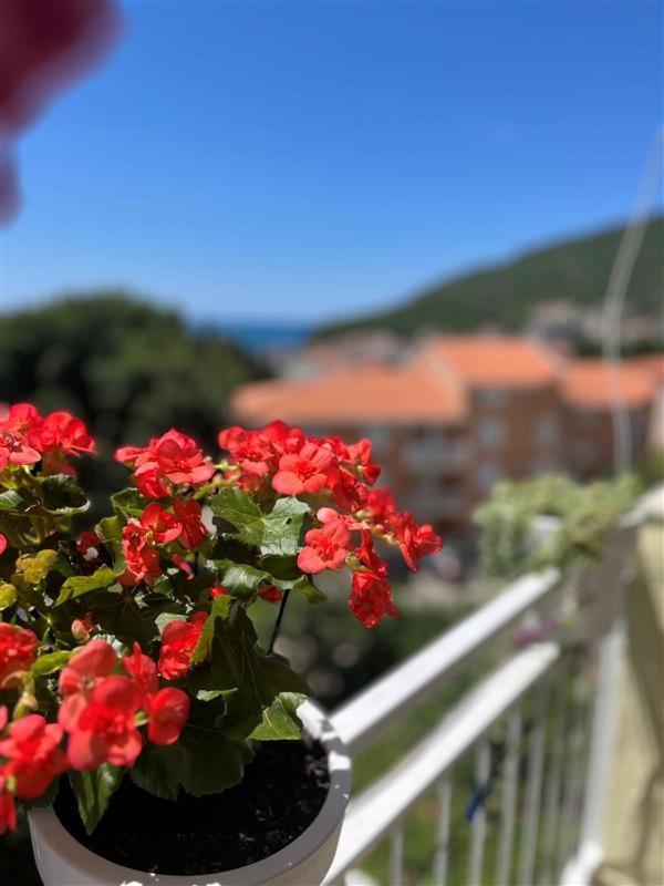 Apartmani Neda Bane Petrovac Extérieur photo